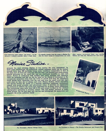 Marine Studios Marineland Florida Vintage Prospekt Fotos Karte um 1940-50er Jahre - Bild 2 von 4