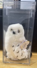 New Ty Beanie Baby KNOWLEDGE Snowy Owl 6 In Borders Exclusive W/ Case & Tag 🦉
