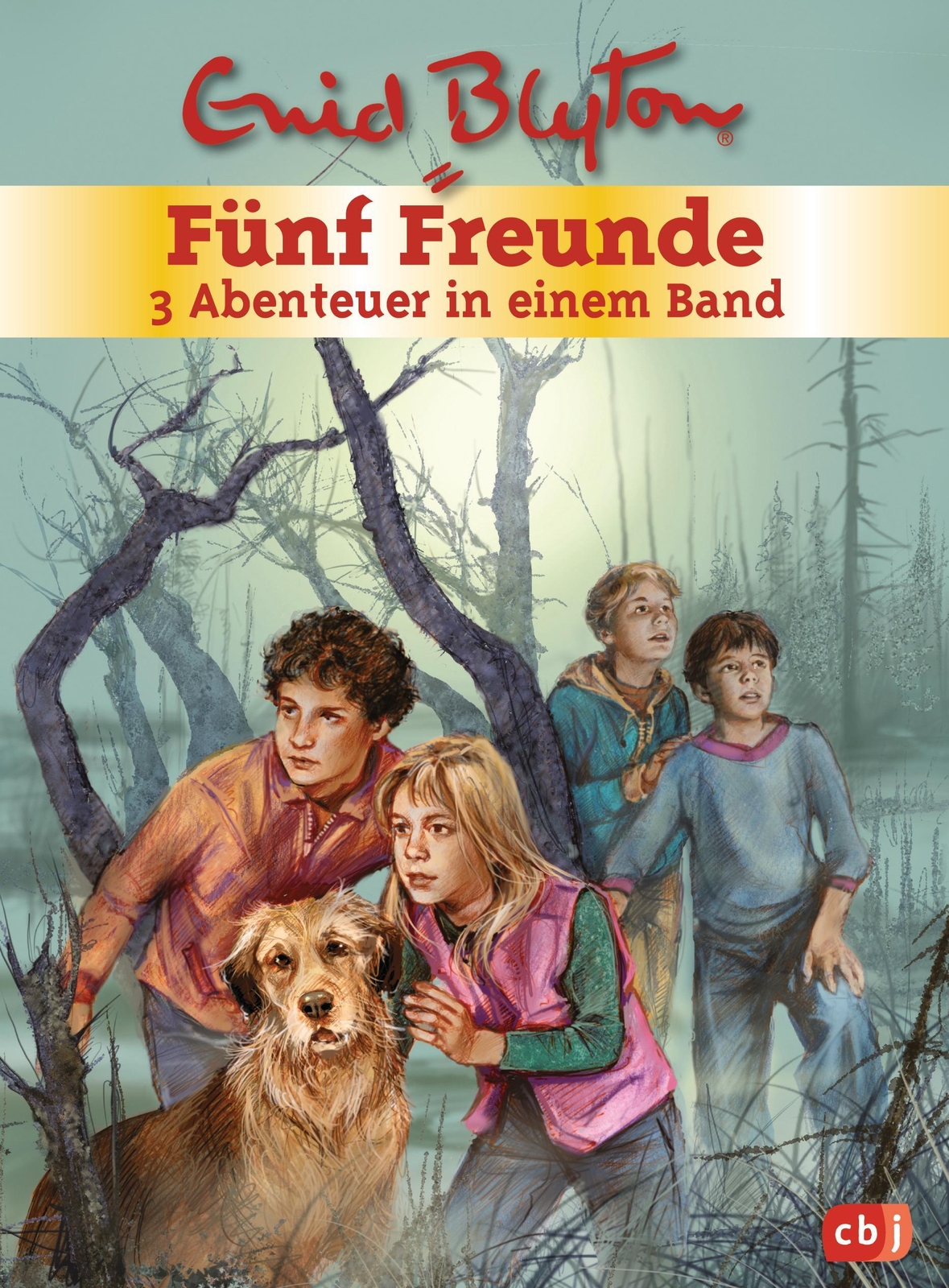 Thumbnail - Fünf Freunde. Sammelband 01 3 Abenteuer In Einem Band Enid Blyton Buch