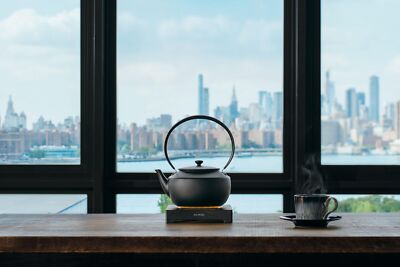 BALMUDA MoonKettle Electric Kettle with Temperature Control BLACK