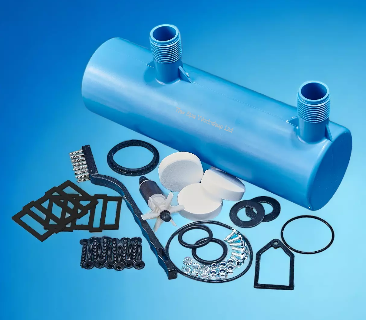Pump Descaler + Impeller + Heater Seals for SaluSpa AirJet Pumps Fix Leaks E02