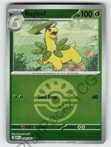 Bayleef Pokemon Card | eBay