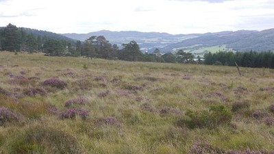 Foto 6x4 Moorlandschaft oberhalb Strathtay bergab vom Weg zwischen Pitloch um 2017