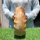 20.9LB Whole natural ammonite fossil conch crystal specimen healing — photo 5