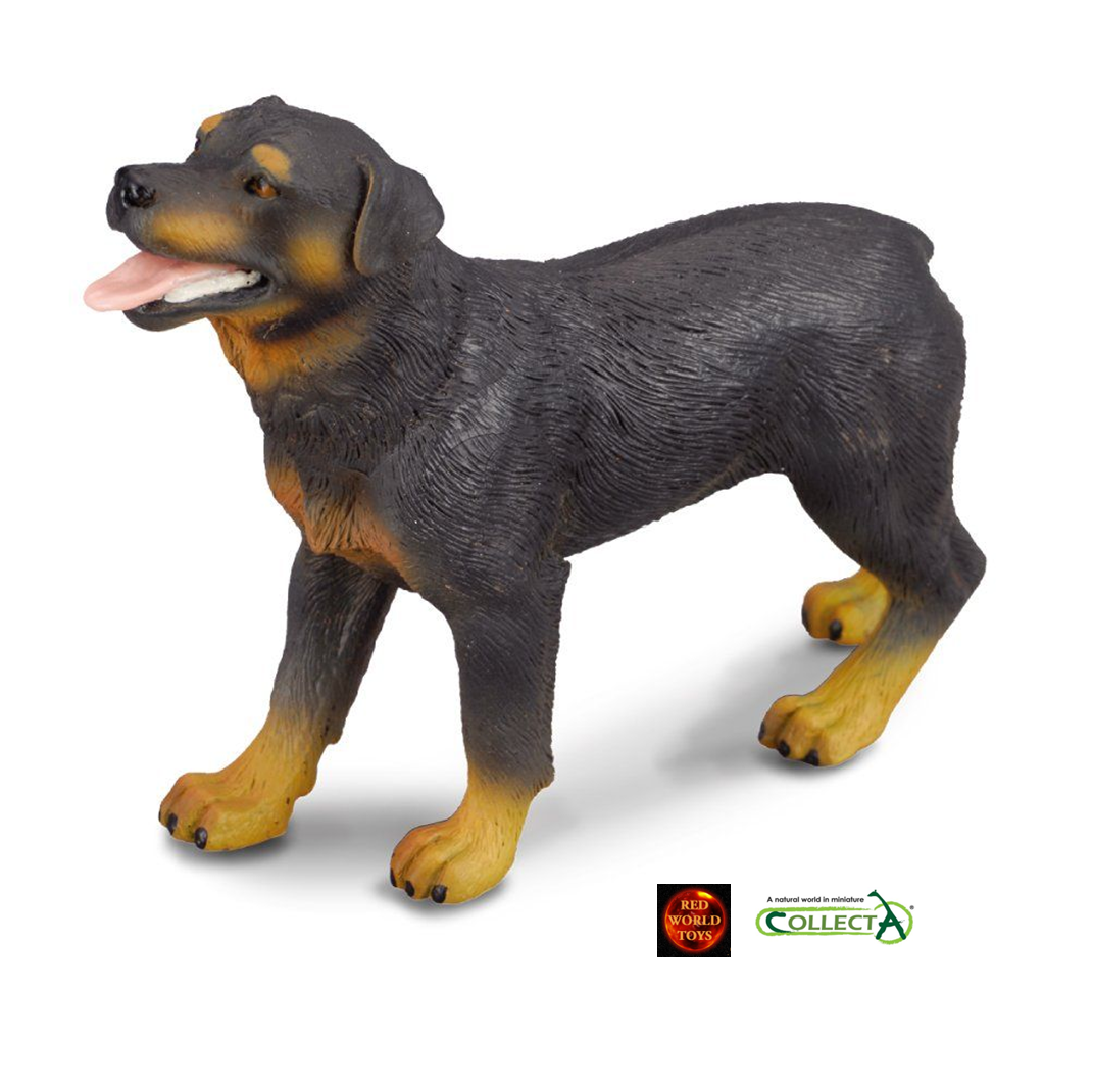 Rottweiler Dog Toy Model Figure by CollectA 88189 Cake Topper New