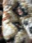 Bild 7 von 10