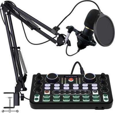 DJ Mixer Set Controller BM800 Mikrofon Live Streaming Aufnahme PC Podcast Studio