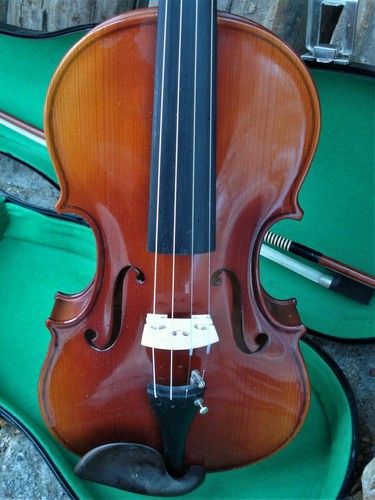 Violon remise n. 