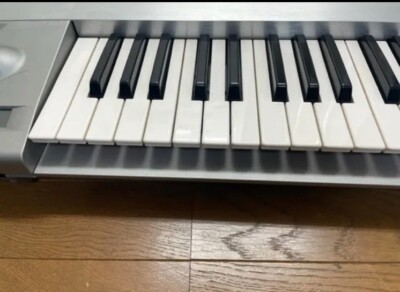 KORG trinity pro 76-note MUSIC WORKSTATION Without Moos Board. | eBay