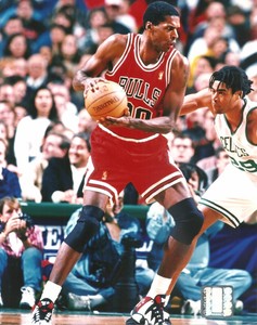 robert parish bulls jersey