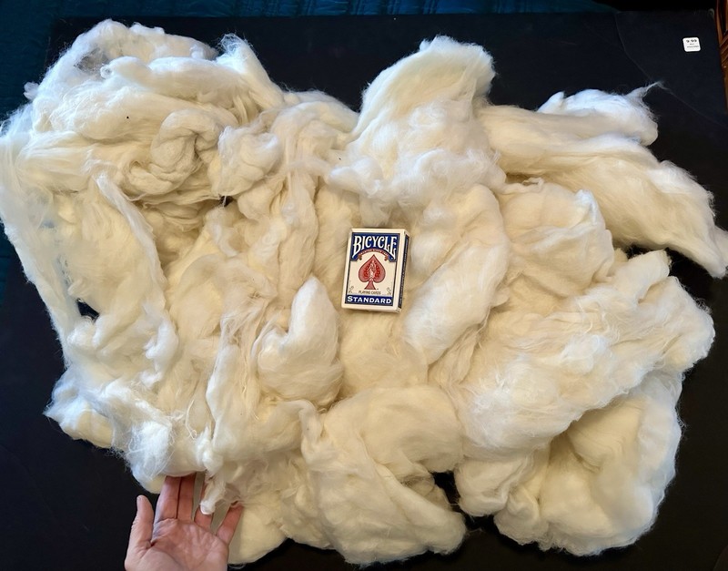 2 POUNDS & 5oz Superlamb Lap Natural Spinning Fiber (A23)
