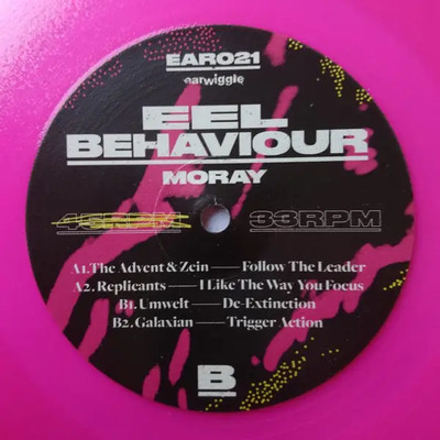 Zein, Umwelt, Galaxian Eel Behaviour: Moray MAGENTA TRANSPARENT Earwiggle