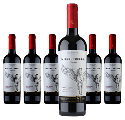 6 x Andica Gran Reserva Carmenere   2024
