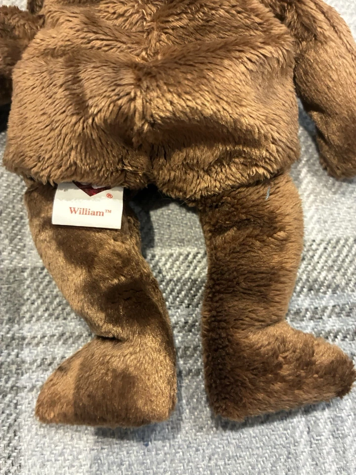 Ty Beanie: William, 1564, the Shakespeare bear, rare, with tag - Image 4 of 4