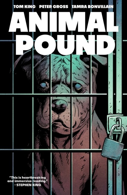Animal Pound by Tom King (Paperback Book)