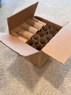 40 Empty Toilet Paper Rolls for Arts & Crafts, Planting, and Much More