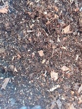 Assel und Tausendf&uuml;&szlig;er Terrarium Substrat mit WFH 40 Liter 100% Cocos frei