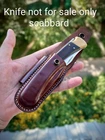 Horizontal scabard leather sheath for buck 110 Folding Hunter