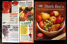 2 VINTAGE SEED CATALOGS: Stark Bro's 1995 & Henry Field's Spring 1973, Trees, VG
