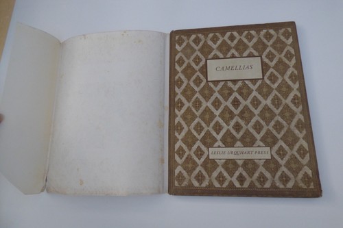 CAMELLIAS Paul Jones Illustrator HC Leslie Urquhart Press 1964 - Imagen 2 de 8