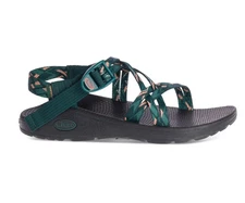 Chaco Women's Zcloud X Warren Pine