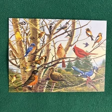 LIQUIDATING-Leanin’ Tree Birthday Greeting Card “Wishing You Blue Skies…”