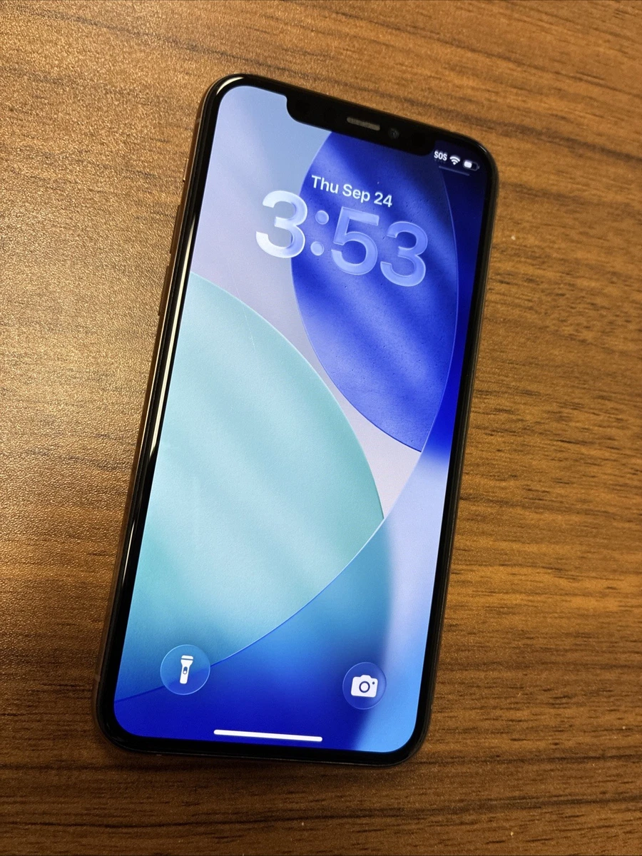 Apple iPhone 11 Pro 256GB for Sale | Shop New & Used Cell Phones