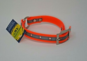orange dog collar with nameplate