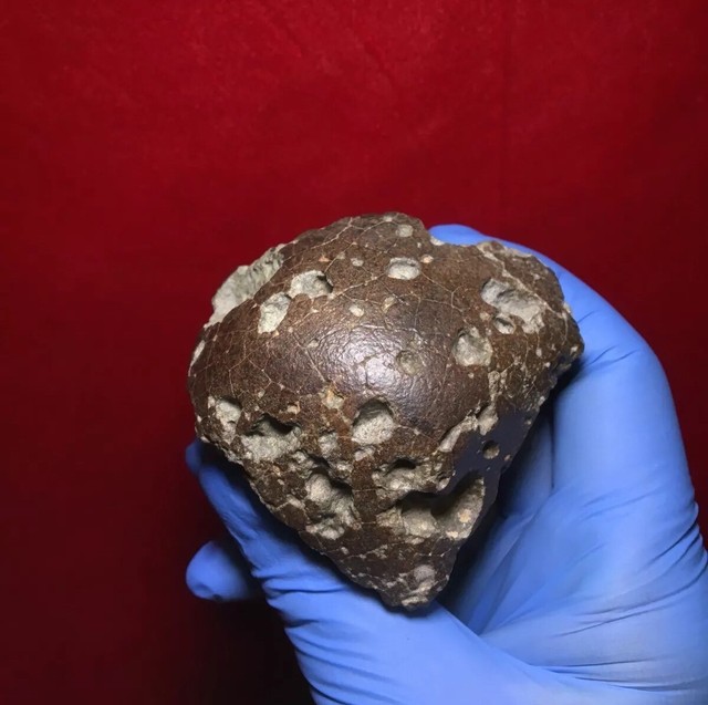 Meteorite NWA Unclassified 206 30 Grams Museum Quality Best 