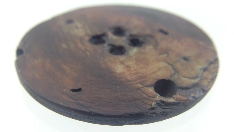 Vintage Carved MOP Mother-of-Pearl Button 1.1in Brown Color 050D - Image 4 of 4