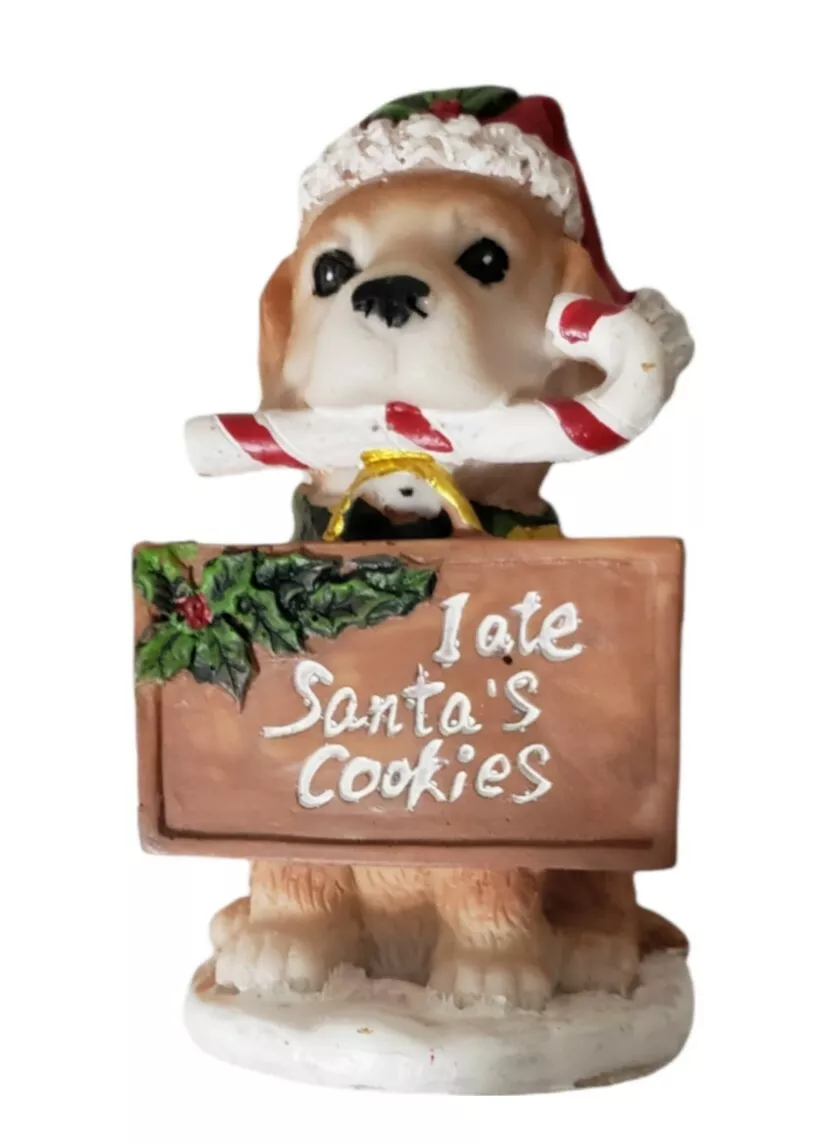 Dog ate cookies sales