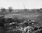 New 8x10 Civil War Photo: Dead Soldiers on Union Left after Battle of Gettysburg