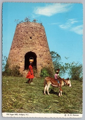 Antigua W.I. Old Sugar Mill Ruin Donkey Child Woman Basket Vintage Postcard