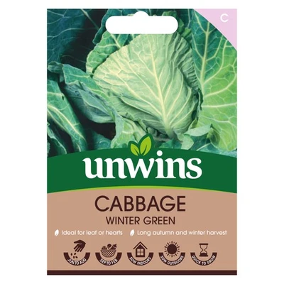 Cabbage (Spring Greens) Winter Special | Unwins Easy To Grow Seeds