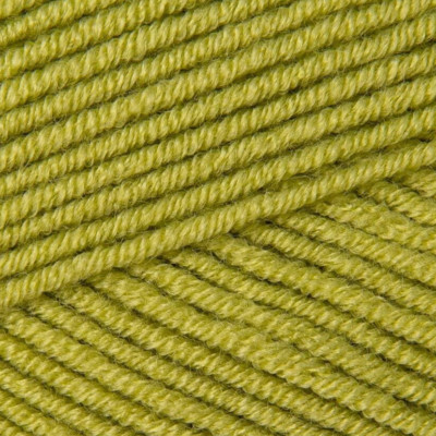 Stylecraft BELLISSIMA Double Knitting Wool Yarn 100g - 7216 Luscious Leaf