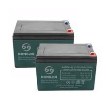 2PCS 6-DZM-12 12V 12Ah AGM Motorcycle Battery for ATV Scooter Go Kart Golf Cart