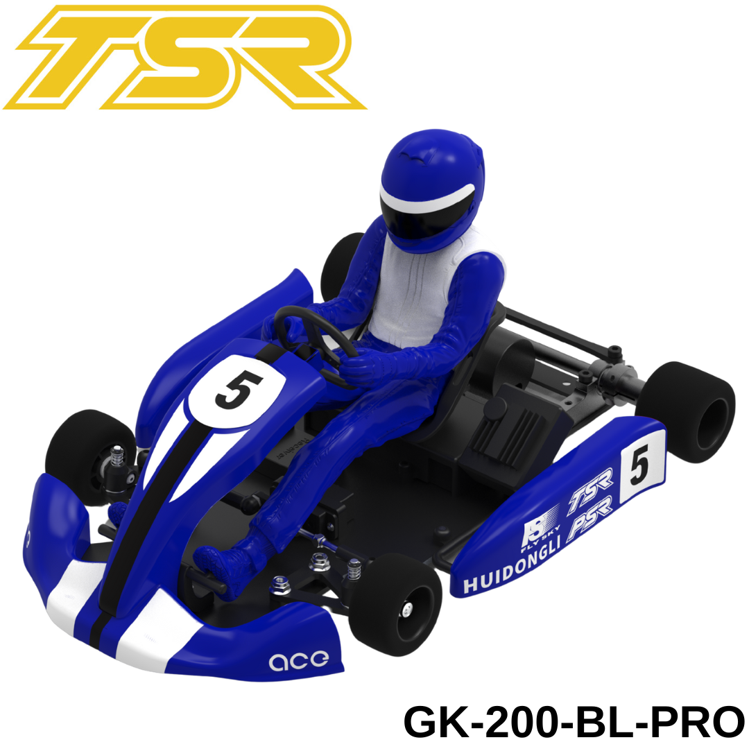 Team Saxo GK-200-PRO 1/8 RC Go Kart KIT ARTR Blue Brushless Radio Control  Car