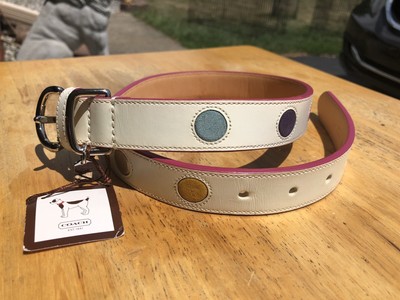 coach dog collar large
