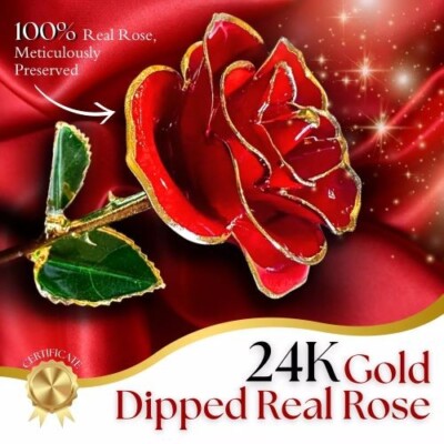 24K Gold-Dipped Real Eternal Rose   10 Colors for Easter