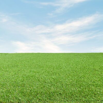Steffensmeier Kunstrasen Stirling 24 mm Smart 1.038 g/m² UV-beständig 1 4 m