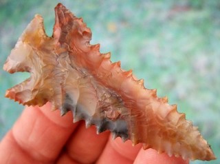 Super Fine Museum Grade Serrated Ohio Flintridge Pine Tree Point COA Arrowheads