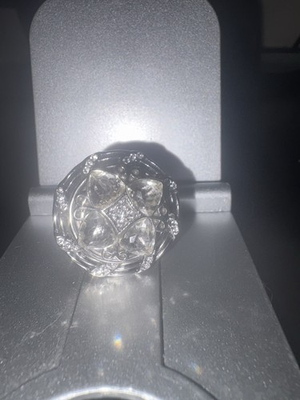 #ad Ginger Snaps Stretch Snap Ring with one attachment $8.00