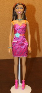 barbie's friend nikki