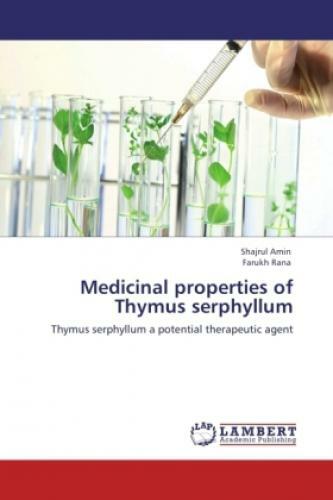 Thumbnail - Medicinal Properties Of Thymus Serphyllum Thymus Serphyllum A