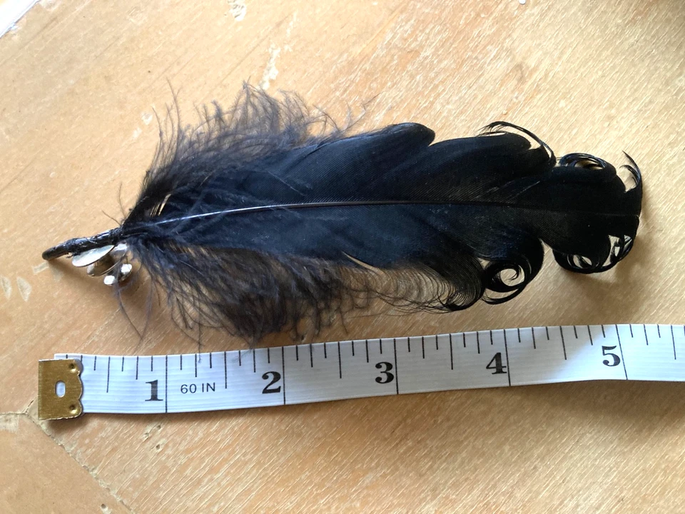 Ann Demeulemeester Black Feather pin with box - Image 4 of 4