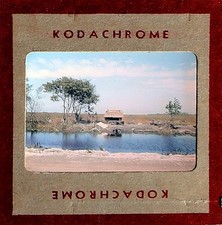 2x 35mm Slides - Everglades Florida Chickee Hut Canal & Garden Ruins 1949