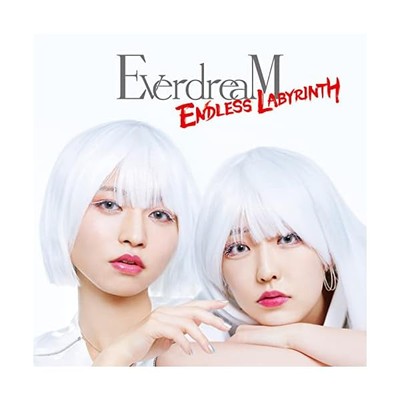 ENDLESS LABYRINTH EverdreaM (CD1CDVD1) Official Collectible Exclusive Japan