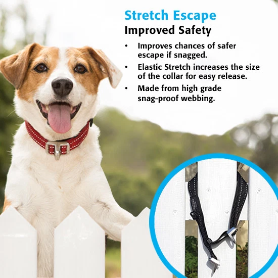 Collar para perro Rogz - Collar de liberación elástica de seguridad - mediano/grande/extra grande Foto 2 de 4