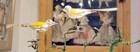 Two yellow-winged Songbirds, on Clips, Spun Glass Tails.  1960s W. German  Orns. — photo 2