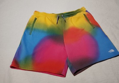 North Face Tech Shorts Mens XL Multicolor Denali Steep Summit Series 